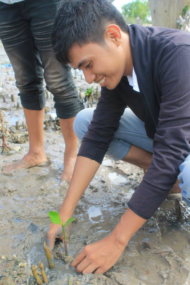 Mangrove Rehabilitation