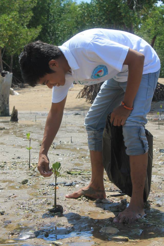 Nofriadi Umbu, alumnus of Nusa Cendana University, cleaned the mangrove from weeds in Environmental Care, Mangrove Rehabilitation Part 2 on 10 November at Oesapa Coast, Kupang.