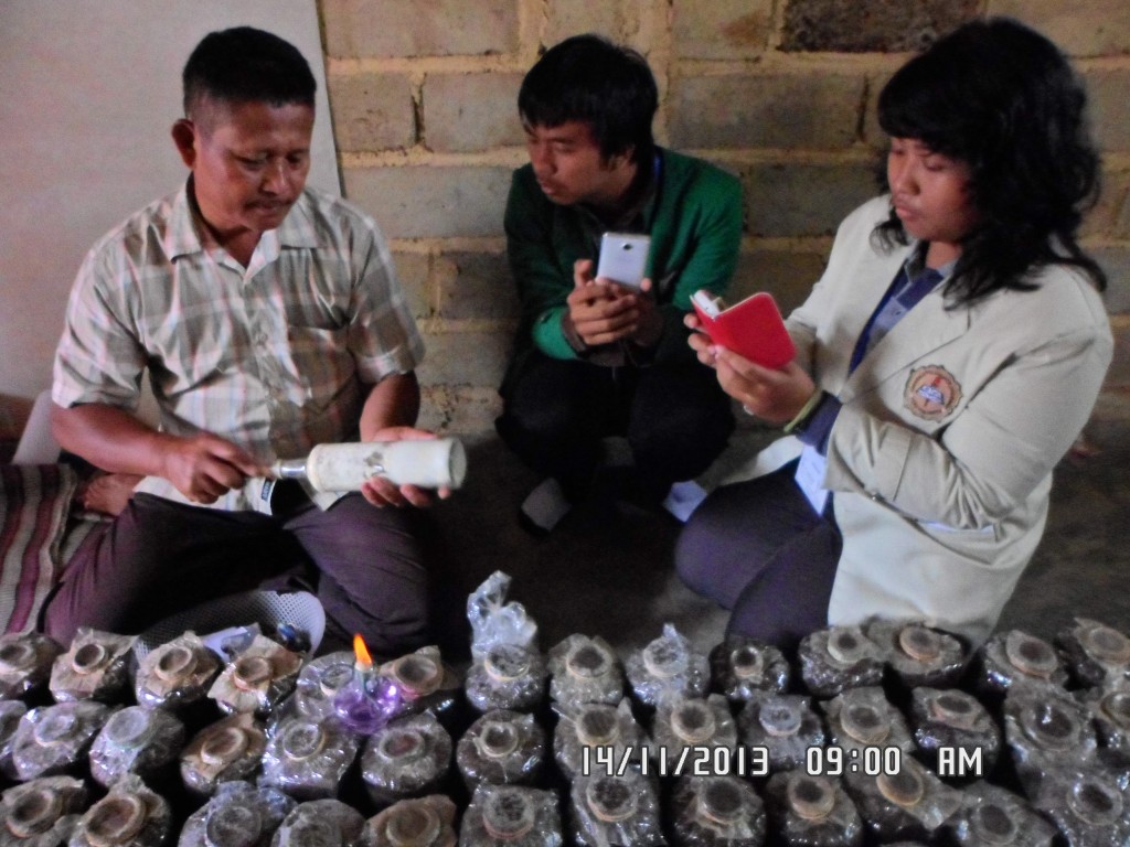 The participants learned how to cultivate the "Tiram" Mushroom 